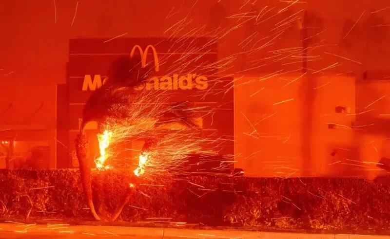 Amelia Womack (@amelia_womack) on Twitter photo 💸There’s no economy on a dead planet
📈There’s no business on a dead planet
👩🌾There’s no jobs on a dead planet
🔥There’s no future on a dead planet
<a href="/McDonalds/">McDonald's</a> has directly contributed to climate change, and now their “Golden Arches” are melting under climate collapse. 💸There’s no economy on a dead planet
📈There’s no business on a dead planet
👩🌾There’s no jobs on a dead planet
🔥There’s no future on a dead planet
<a href="/McDonalds/">McDonald's</a> has directly contributed to climate change, and now their “Golden Arches” are melting under climate collapse.