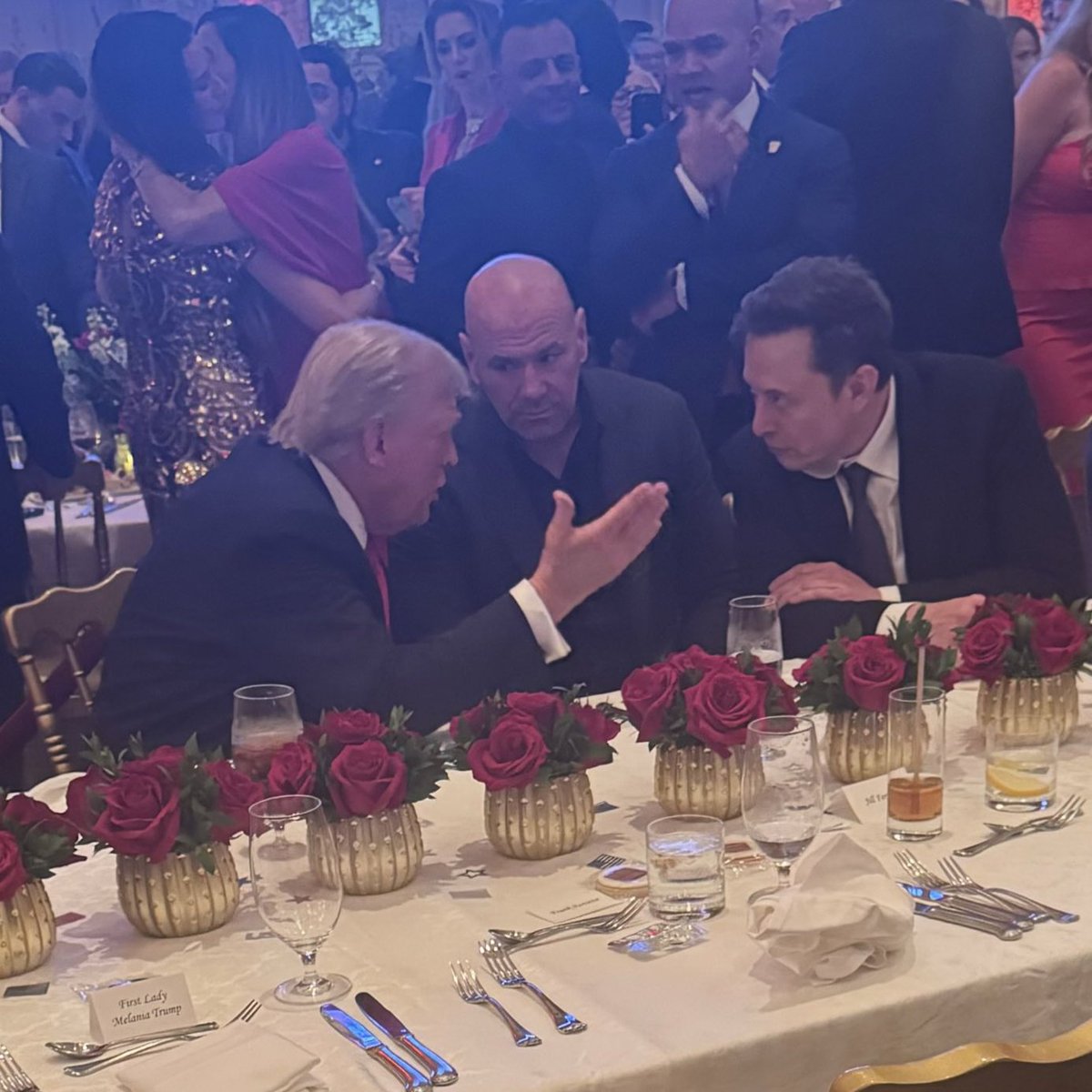 cb_doge's tweet image. Caption this.