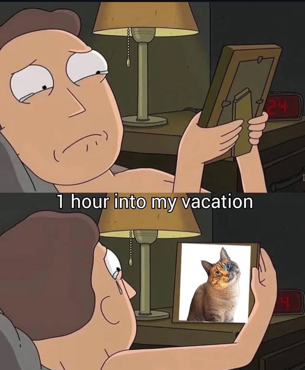 fay_cs's tweet image. 