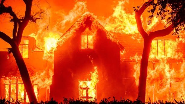 Peter Dynes tweet media