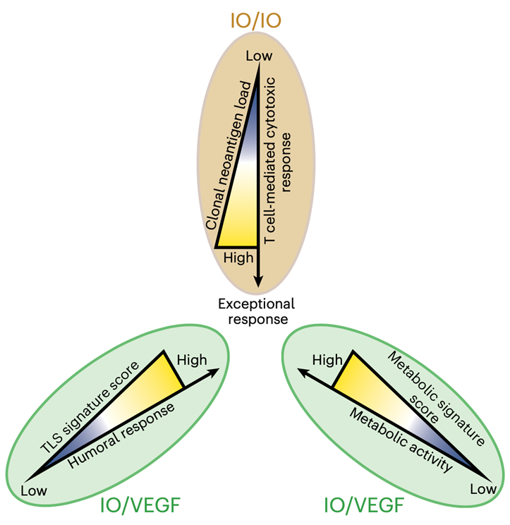 Toni Choueiri, MD tweet media