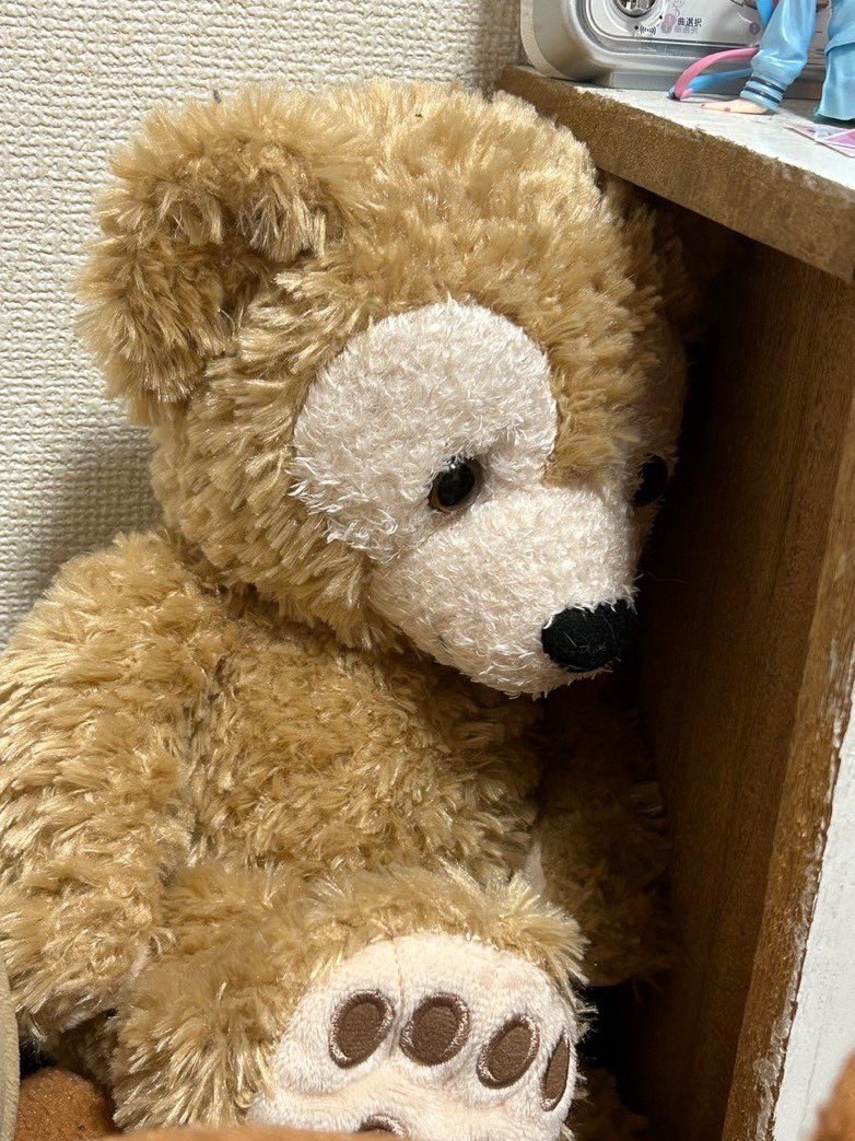 落ち込むぬいぐるみ (@depressed_nui) on Twitter photo 