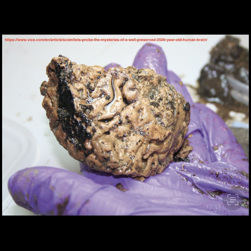 Well... That’s Interesting tweet media