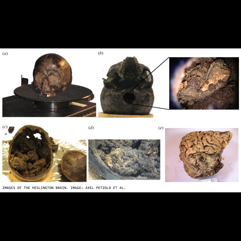 Well... That’s Interesting tweet media