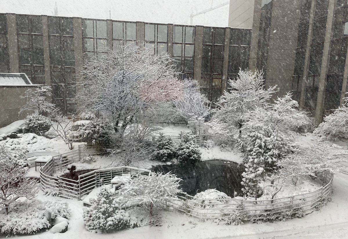 Plötzlicher und überraschender Wintereinbruch!