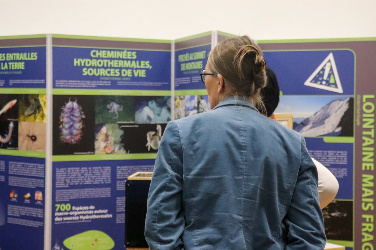 Université de Montpellier (@umontpellier) on Twitter photo #ChaireNatureCom 🦋 Inauguration de l'Exposition "Coup de projecteur sur la biodiversité (in)visible" à la <a href="/FacEducMtp/">Faculté d'Éducation de l'Université de Montpellier</a>. Série de 3 expos itinérantes conçues & réalisées par des étudiants de l’UM sous la direction de Frédérique Carcaillet, enseignante-chercheuse à l’UM #ChaireNatureCom 🦋 Inauguration de l'Exposition "Coup de projecteur sur la biodiversité (in)visible" à la <a href="/FacEducMtp/">Faculté d'Éducation de l'Université de Montpellier</a>. Série de 3 expos itinérantes conçues & réalisées par des étudiants de l’UM sous la direction de Frédérique Carcaillet, enseignante-chercheuse à l’UM
