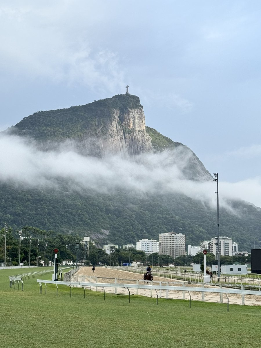 CSVET's tweet image. Bom diiiia