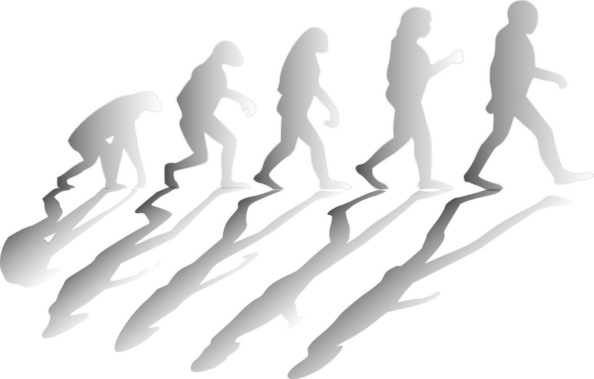 The_NewDispatch's tweet image. Curriculum Changes in Syria Spark Debate Over Inclusion and Cultural Identity
thenewdispatch.com/curriculum-cha…
#Syria #SyriaEducation #CurriculumChanges
#SyrianCurriculum #SyrianSchools #IslamicEducation
#CulturalIdentity #SecularSyria #SyrianHistory
#EvolutionDebate #BigBangTheory