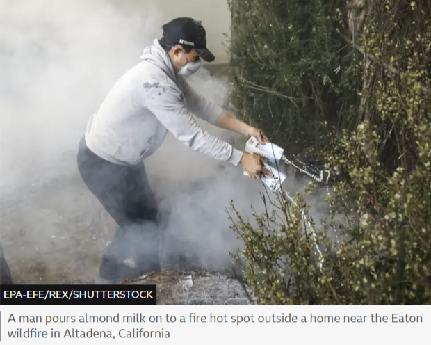from_ThePearl's tweet photo. Almond Milk?  I don't want to minimize the suffering, but fighting a fire this way is just so LA/Hollywood.... https://t.co/SPLltHEGFC