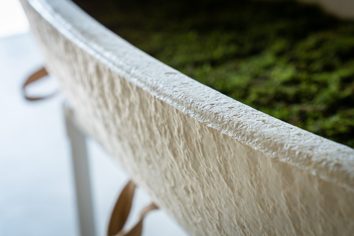 All zebras have stripes, but no two zebras share the exact same pattern. 🦓 The same goes for the Loop Living Cocoon™. Thanks to our controlled growth process, beautiful subtle variations in pattern and texture emerge, giving each Cocoon™ its own unique character.