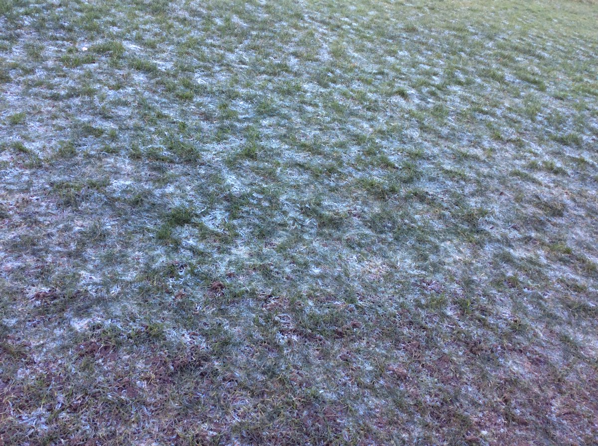 OverfieldsPri's tweet image. Nursery wrapped up warm and found lots of signs of Winter on our walk this morning.❄️