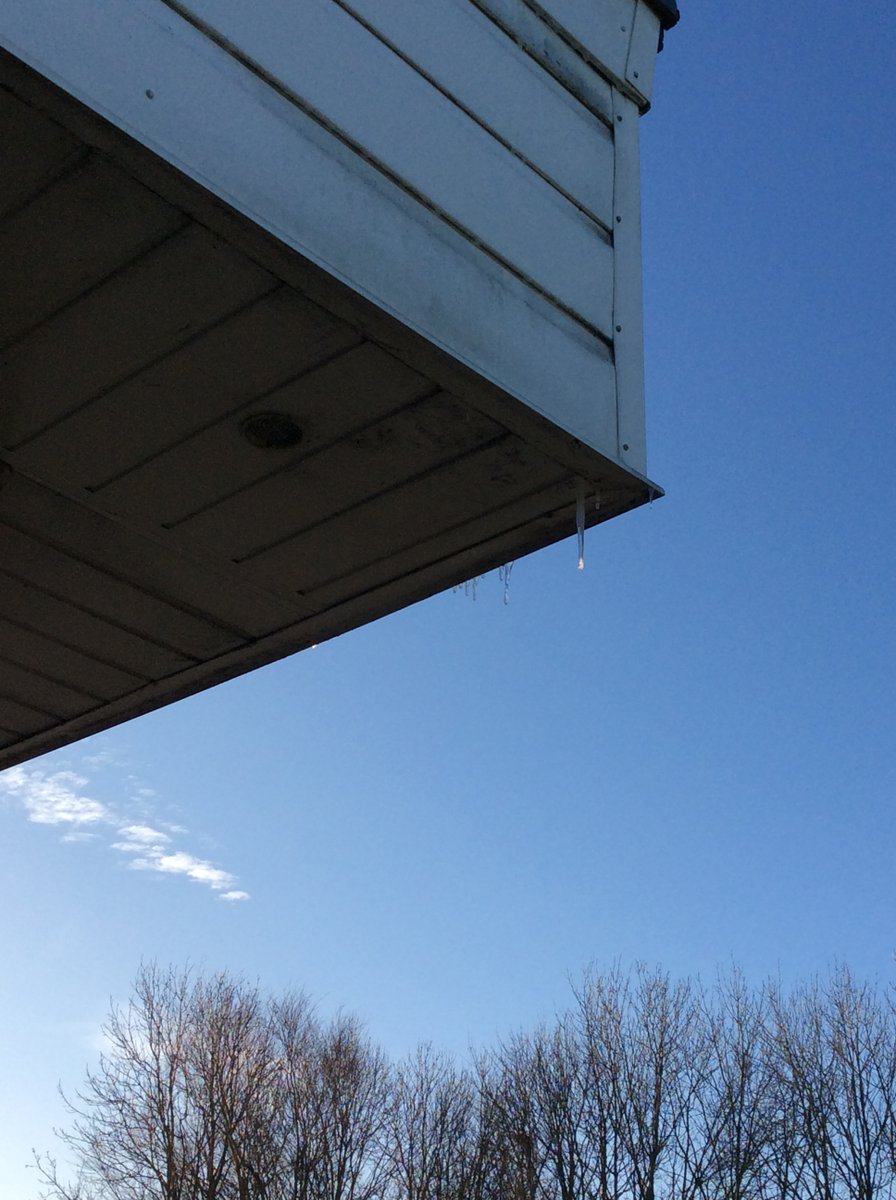 OverfieldsPri's tweet image. Nursery wrapped up warm and found lots of signs of Winter on our walk this morning.❄️