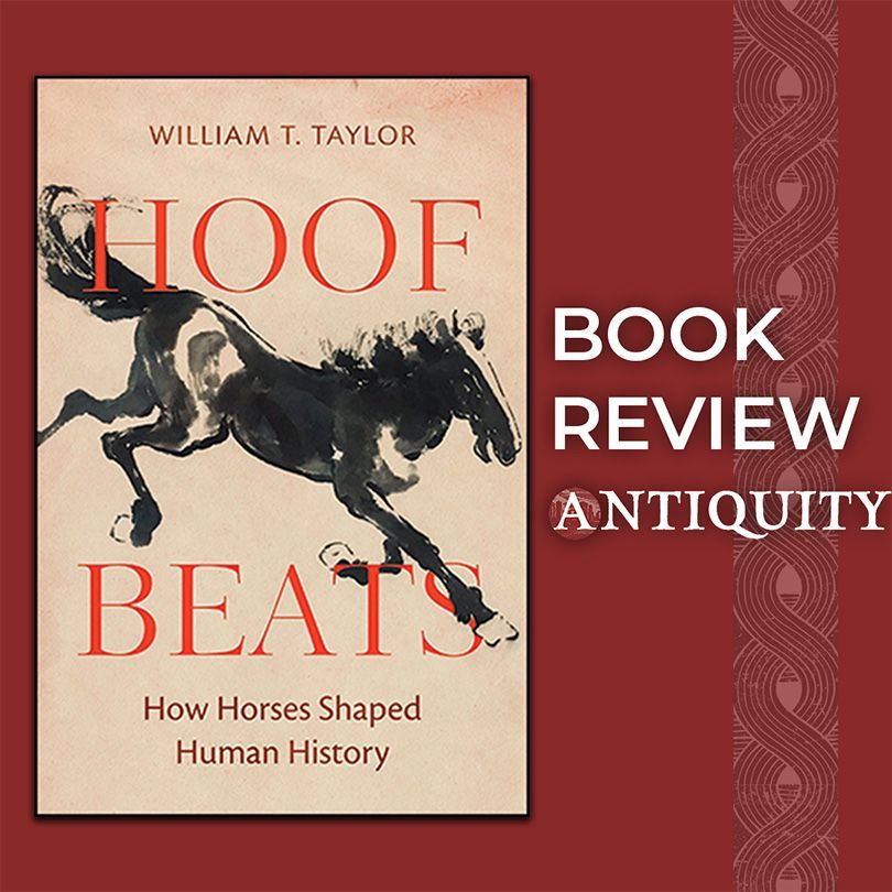 🅰ntiquity Journal (@antiquityj) on Twitter photo 📕 #BookReview
<a href="/wtt_taylor/">William Taylor</a>'s 'Hoof beats: how horses shaped human history' explores our unique relationship with horses, documenting how horses evolved, were domesticated and drove globalisation in both the Old and New Worlds. 1/2
🆓 buff.ly/3DJfLYB 📕 #BookReview
<a href="/wtt_taylor/">William Taylor</a>'s 'Hoof beats: how horses shaped human history' explores our unique relationship with horses, documenting how horses evolved, were domesticated and drove globalisation in both the Old and New Worlds. 1/2
🆓 buff.ly/3DJfLYB