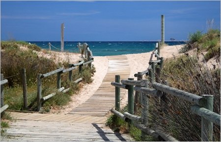 🆕 Publicada la resolució definitiva de l’atorgament de subvencions a #EntitatsAmbientals per gestionar espais naturals protegits

🏞️ És l’ajut més gran mai convocat per al sector, del qual se’n beneficiaran una trentena d’entitats que s’encarregaran de 36 espais sense òrgan de