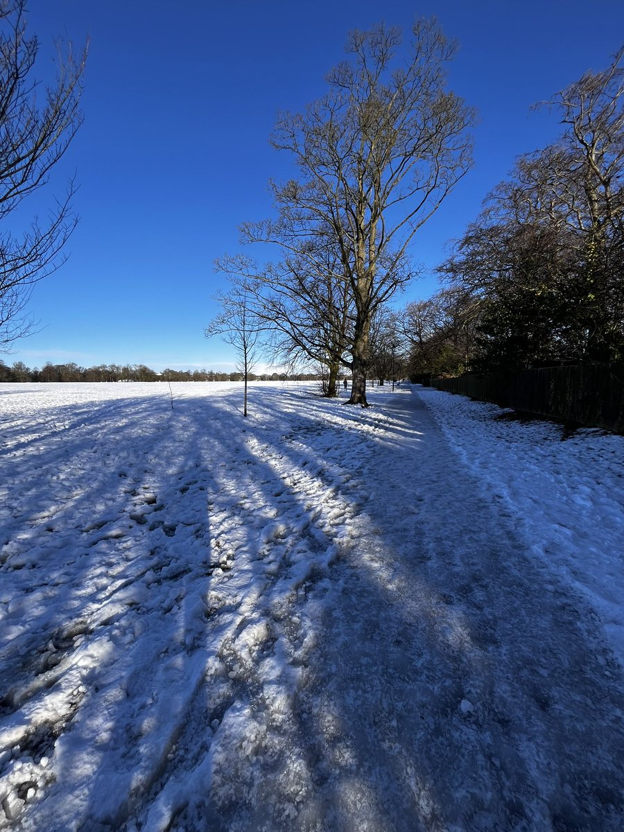 The Stray looks wonderful in the sunshine. But the ice is unlikely to thaw soon. 
We’re not cancelling yet and will reassess on Friday but if you’re desperate for a parkrun fix you might want to have a plan B. 
Enjoy the sunshine 😎🐾