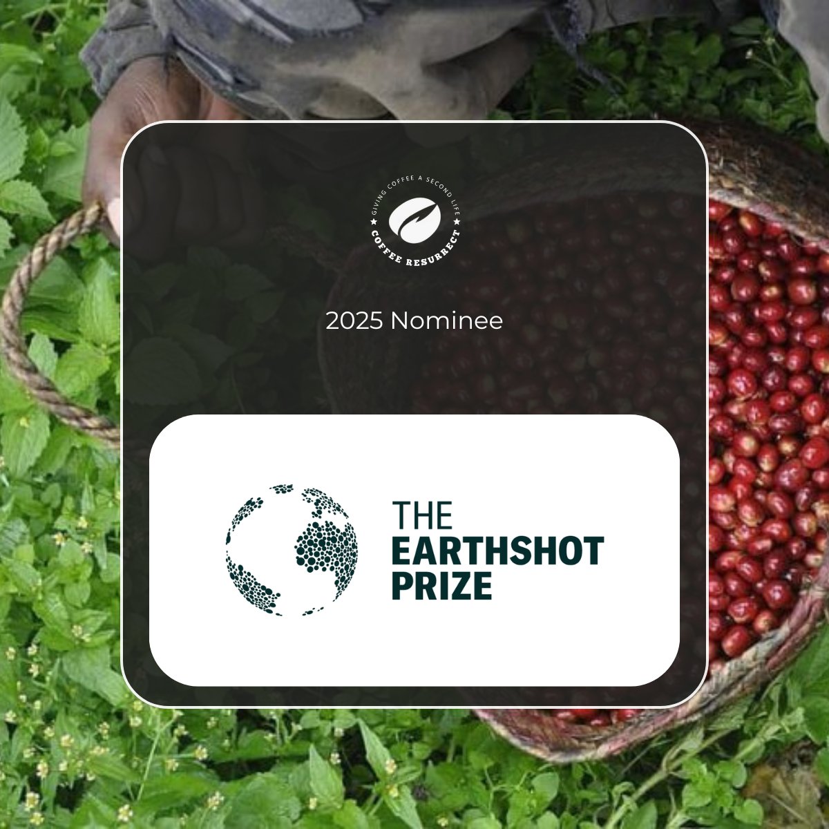 Kicking off 2025, we are delighted to share some exciting news! 💙

<a href="/TmResurrect/">COFFEE RESURRECT, Inc. (የቡና ትንሣኤ)</a> has been nominated <a href="/EarthshotPrize/">The Earthshot Prize</a>    2025.

Our mission continues, and we are more motivated than ever to keep up the good work.
