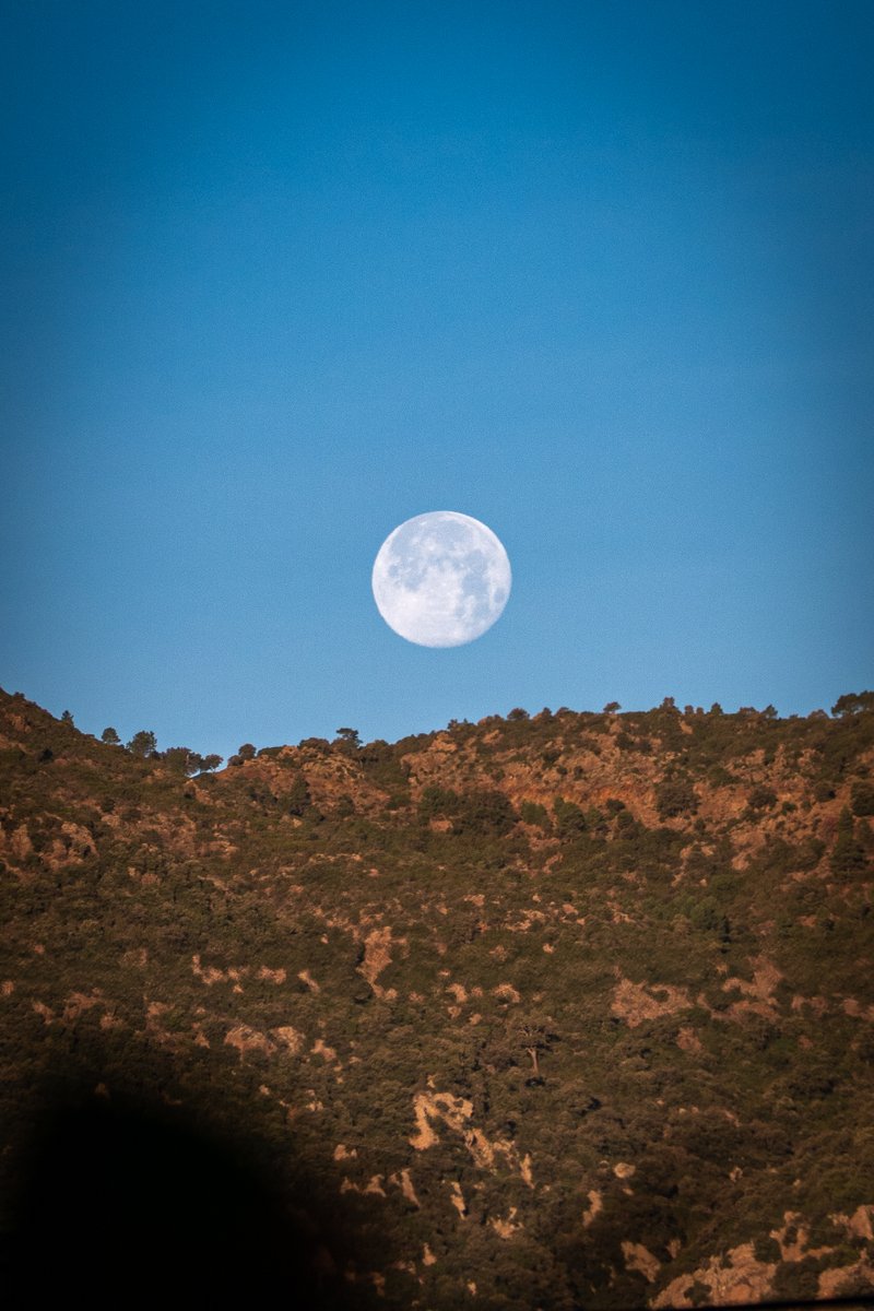 Ambiance d'hiver à Cavalaire 🥰 Merci 📸 
© <a href="/GaetanDupin/">Gaetan Dupin</a>