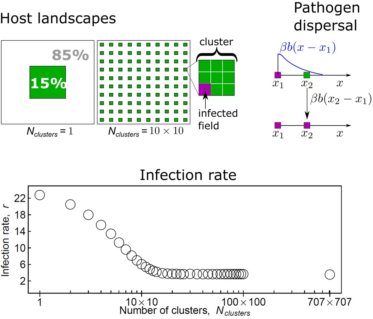 How does landscape structure influence the rate and spread of crop diseases? See Suprunenko et al. Predicting the effect of landscape structure on epidemic invasion using an analytical estimate for infection rate @plantsci <a href="/LivUni_IVES/">Inst of Infection Veterinary & Ecological Sciences</a> <a href="/RSocPublishing/">Royal Society Publishing</a> royalsocietypublishing.org/doi/10.1098/rs…