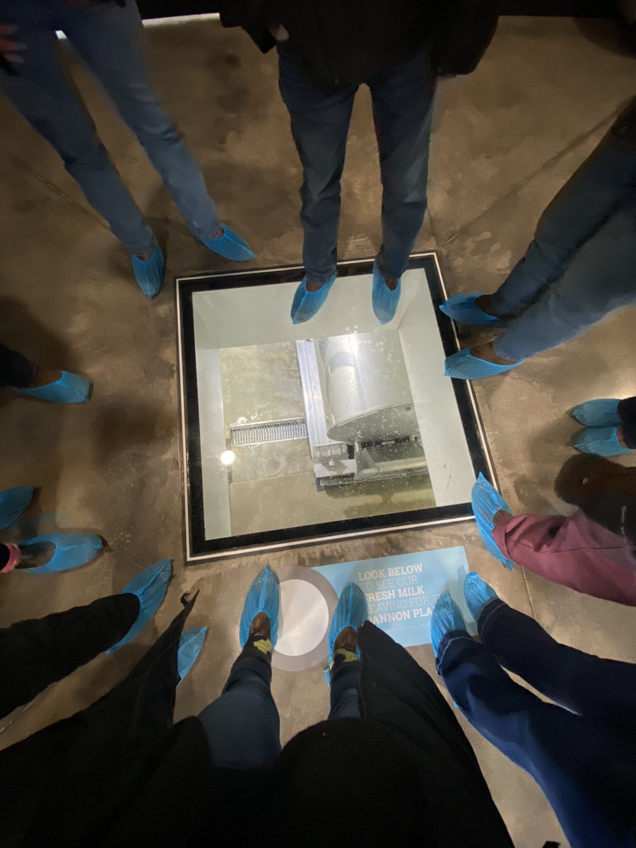 University of Guelph Dairy Science Club tweet media