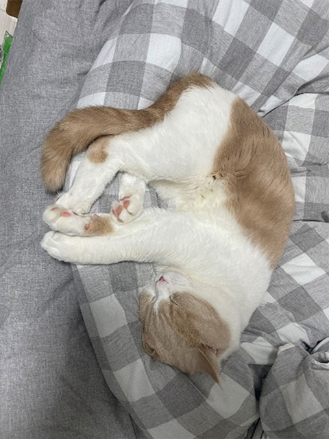 まさかの！ 2人とも一緒に暮らしている猫の名前が『テト』🐱🐾 にゃん