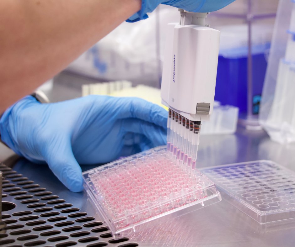 Penn Engineering (@pennengineers) on Twitter photo A new tool from the lab of <a href="/XueSherryGao/">Xue Sherry Gao</a>: "minimal versatile genetic perturbation technology" (mvGPT) merges gene editing and gene expression control, making it easier to address complex genetic conditions. blog.seas.upenn.edu/a-new-era-in-g… A new tool from the lab of <a href="/XueSherryGao/">Xue Sherry Gao</a>: "minimal versatile genetic perturbation technology" (mvGPT) merges gene editing and gene expression control, making it easier to address complex genetic conditions. blog.seas.upenn.edu/a-new-era-in-g…