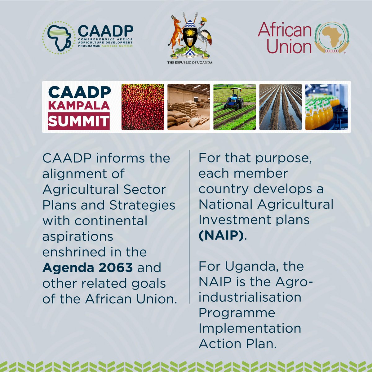 #DYK Africa has 65% of the world's remaining uncultivated arable land?  

However, in 2021, Africa's food imports amounted to about USD 100 billion dollars.  

In the #CAADPKampala25, African leaders are expected to develop concrete proposals to overcome this challenge.