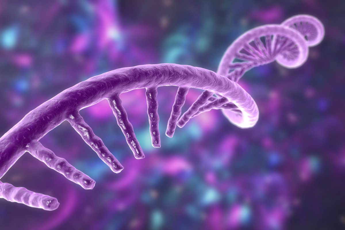 CNRS à Paris-Saclay (@cnrsidfsud) on Twitter photo 🧬 Comprendre les interactions protéine-ARN pour ouvrir la voie à de nouvelles approches thérapeutiques. Le projet ESPRINet, mené par des scientifiques de l’<a href="/I2BCParisSaclay/">I2BC Paris-Saclay</a>, vise à élucider les mécanismes moléculaires sous-jacents de ces interactions.
▶ lejournal.cnrs.fr/nos-blogs/focu… 🧬 Comprendre les interactions protéine-ARN pour ouvrir la voie à de nouvelles approches thérapeutiques. Le projet ESPRINet, mené par des scientifiques de l’<a href="/I2BCParisSaclay/">I2BC Paris-Saclay</a>, vise à élucider les mécanismes moléculaires sous-jacents de ces interactions.
▶ lejournal.cnrs.fr/nos-blogs/focu…