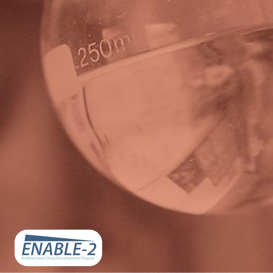 ENABLE-2 continuous open call: accelerate your antibiotic development programmes!

🗓️ March 7th 2025 to be considered for the next Portfolio Management Committee review

Learn more &amp; submit Expression of Interest➡️ uu.se/en/department/…