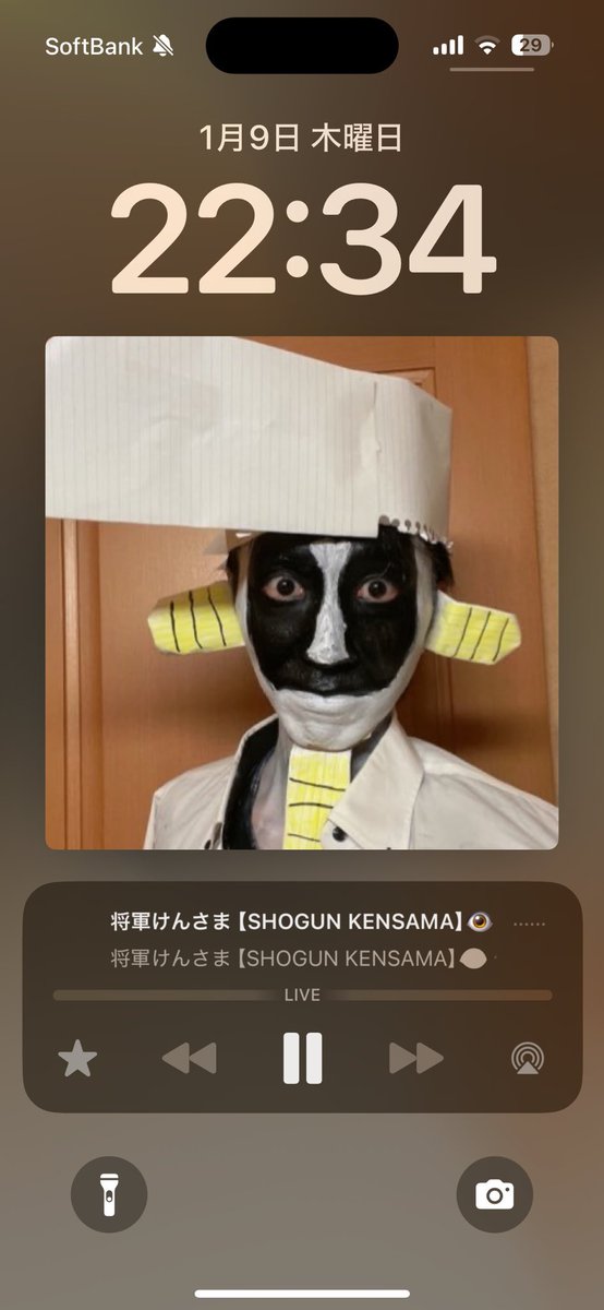 将軍けんさま【SHOGUN KENSAMA】?️ (@shogunkensama) / X