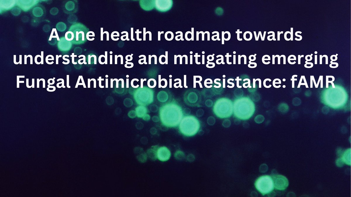 In this article, Fisher et al. present a One Health roadmap that charts inter-related actions that enhances our ability to mitigate the risk of Fungal Antimicrobial Resistance; especially important as humanity’s reliance on antifungal chemicals escalates: nature.com/articles/s4425…