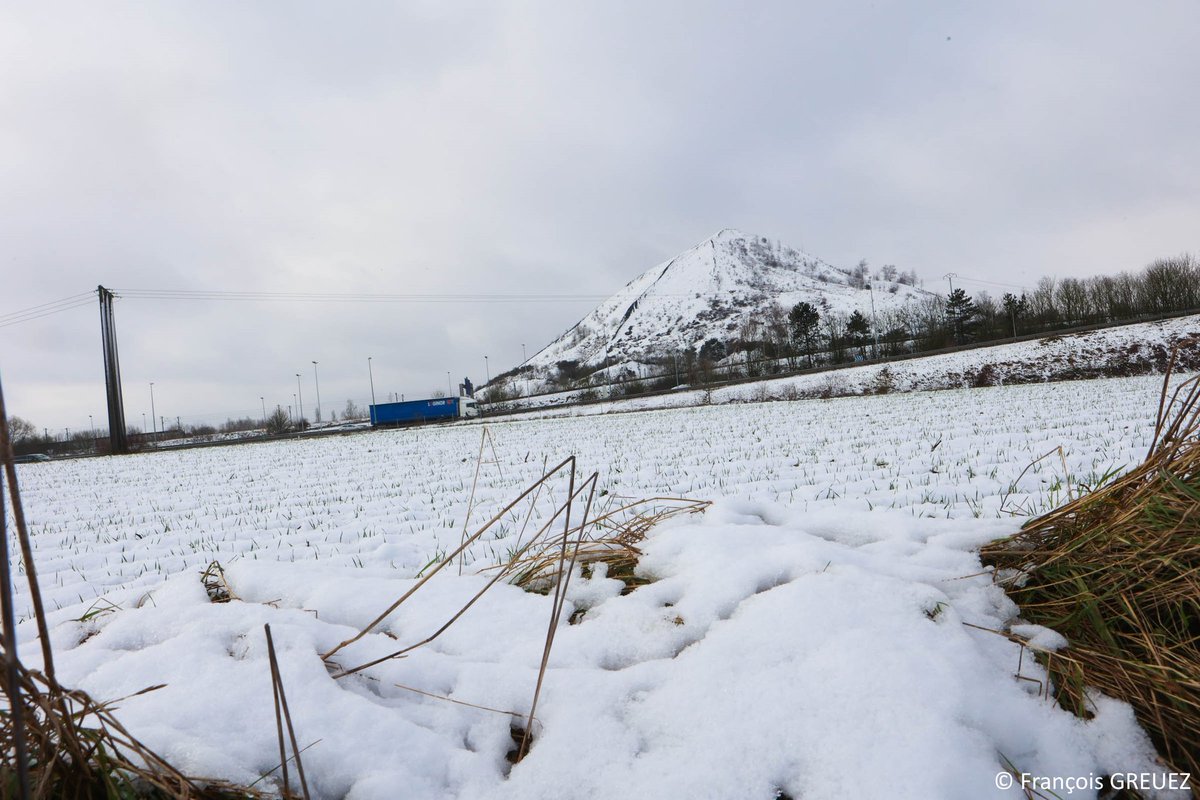 FrancoisGrz's tweet photo. La neige couvre les terrils du bassin minier, le Jeudi 9 Janvier 2025 📷
#neige #NeigeVerglas #bassinminier #terrils #hautsdefrance #pasdecalais https://t.co/zkc2p6Uots