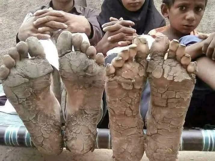 Te puedo pedir un favor?
No dejes de hablar de Palestina! 🇵🇸