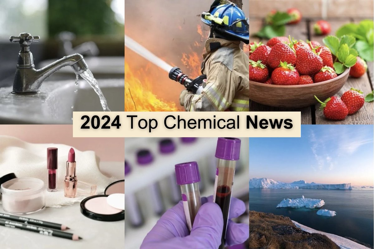 CHEMTrust's tweet image. ⚠️ From suspected EDCs in cosmetics, to harmful chemicals in politicians, 2024 brought chemical news of all kinds.
🖥️ Look back at the top chemical headlines of 2024 in our latest news story.
Read it here ➡️ buff.ly/3DNvYfz
#ToxicChemicals #WaterPollution