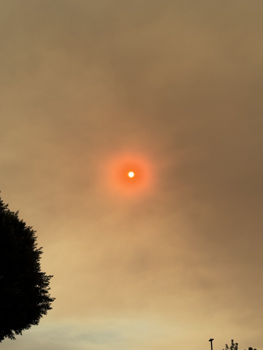 Picture from my son in East Hollywood today.  People losing their homes and possessions is tragic, no matter the wealth level.  
#LosAngelesFire #LAFirestorm2025 #lafires