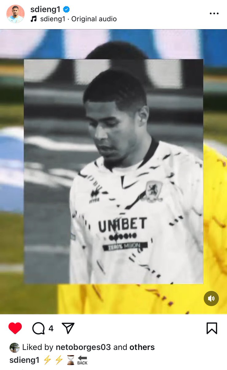 Boropolis tweet media