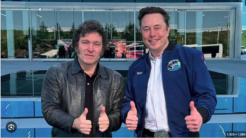 nickn1000's tweet photo. @JMilei hoy Elon esta entrevistando a la candidata alemana @Alice_Weidel Cuando se viene la tuya con @elonmusk Sería un momento epico! 
VIVA LA LIBERTAD CARAJO! 🇦🇷🚀 https://t.co/NoCwVgR22G