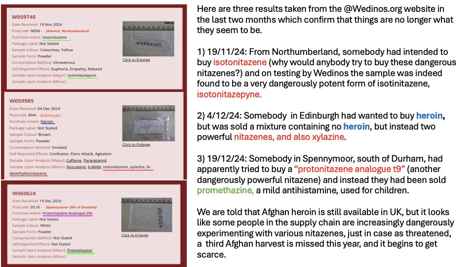 judith yates tweet media