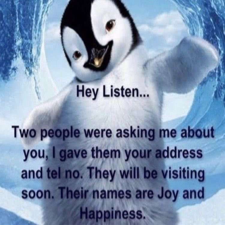 corndog 🦈 tweet media