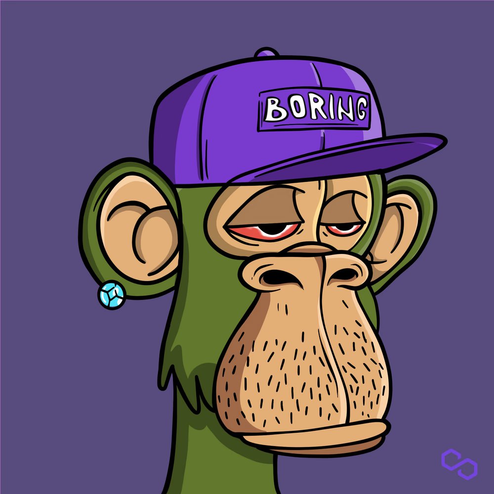 Boring Apes tweet media