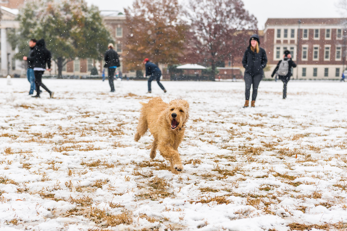 UA_Safety (@ua_safety) on Twitter photo (1/4)
The <a href="/UofAlabama/">The University of Alabama</a> will suspend normal operations from 9 p.m. Thursday, Jan. 9, through 5 p.m. Friday, Jan. 10, due to the threat of severe weather.
All Friday classes, including those conducted online or remotely, and events are canceled. (1/4)
The <a href="/UofAlabama/">The University of Alabama</a> will suspend normal operations from 9 p.m. Thursday, Jan. 9, through 5 p.m. Friday, Jan. 10, due to the threat of severe weather.
All Friday classes, including those conducted online or remotely, and events are canceled.