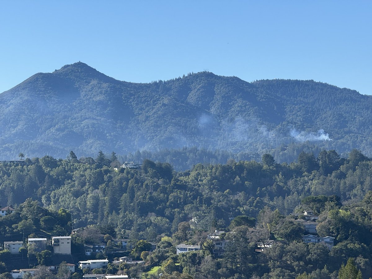 hirson's tweet photo. @RossValleyFire I’m sure it’s nothing but after LA, sharing this from 10:52 today. 
Burning on mt tam https://t.co/Bg2uaUvC7o