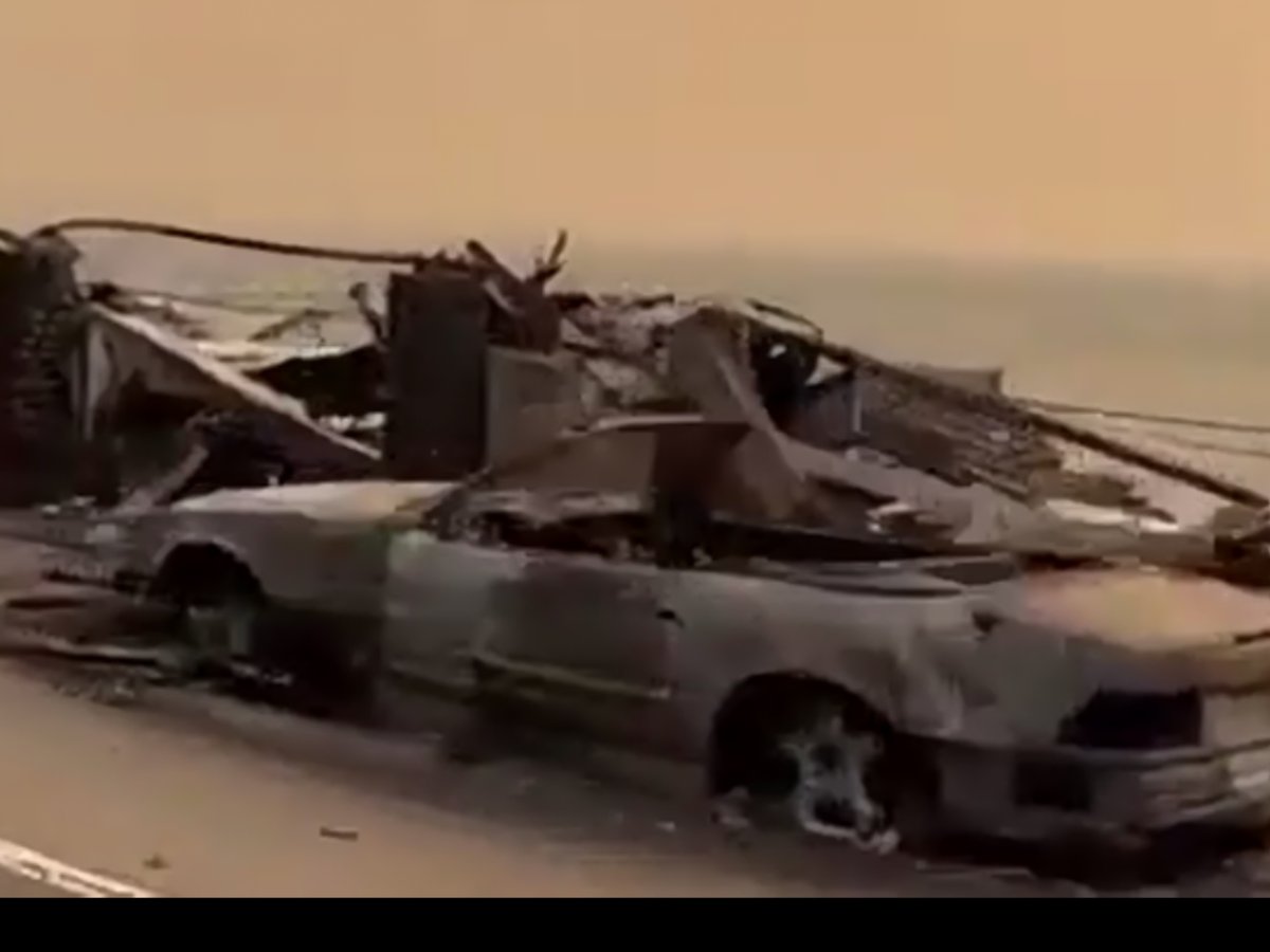 Paul Bogaars tweet media