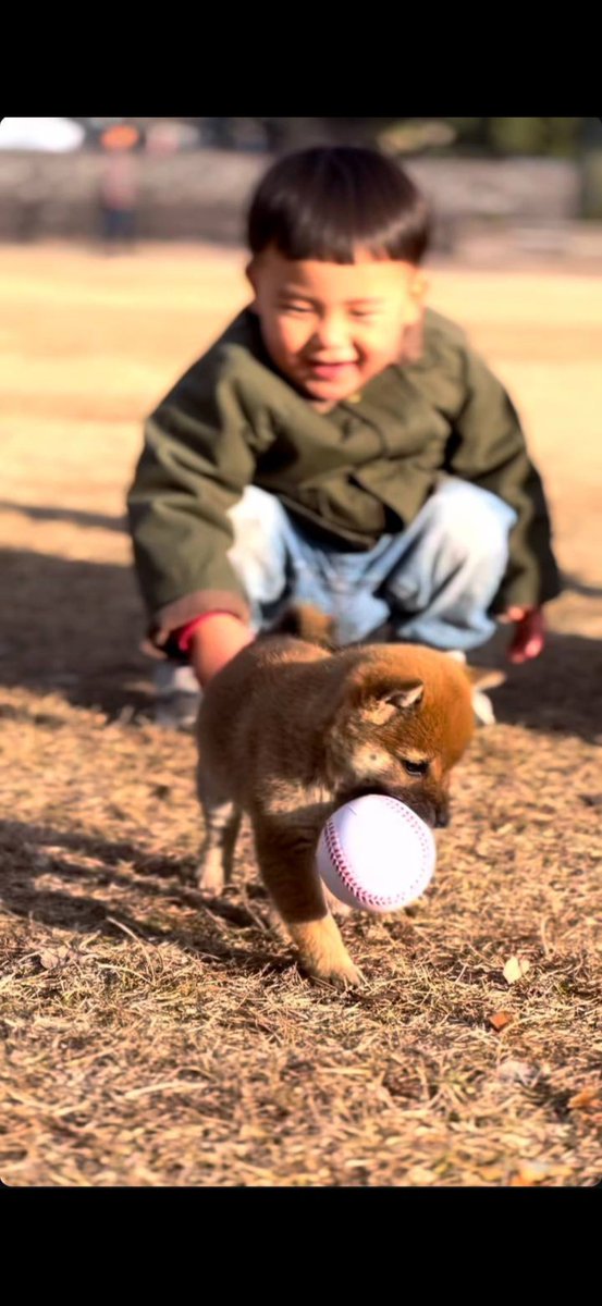 BeeCuzFuture 🇯🇵🐾 tweet media