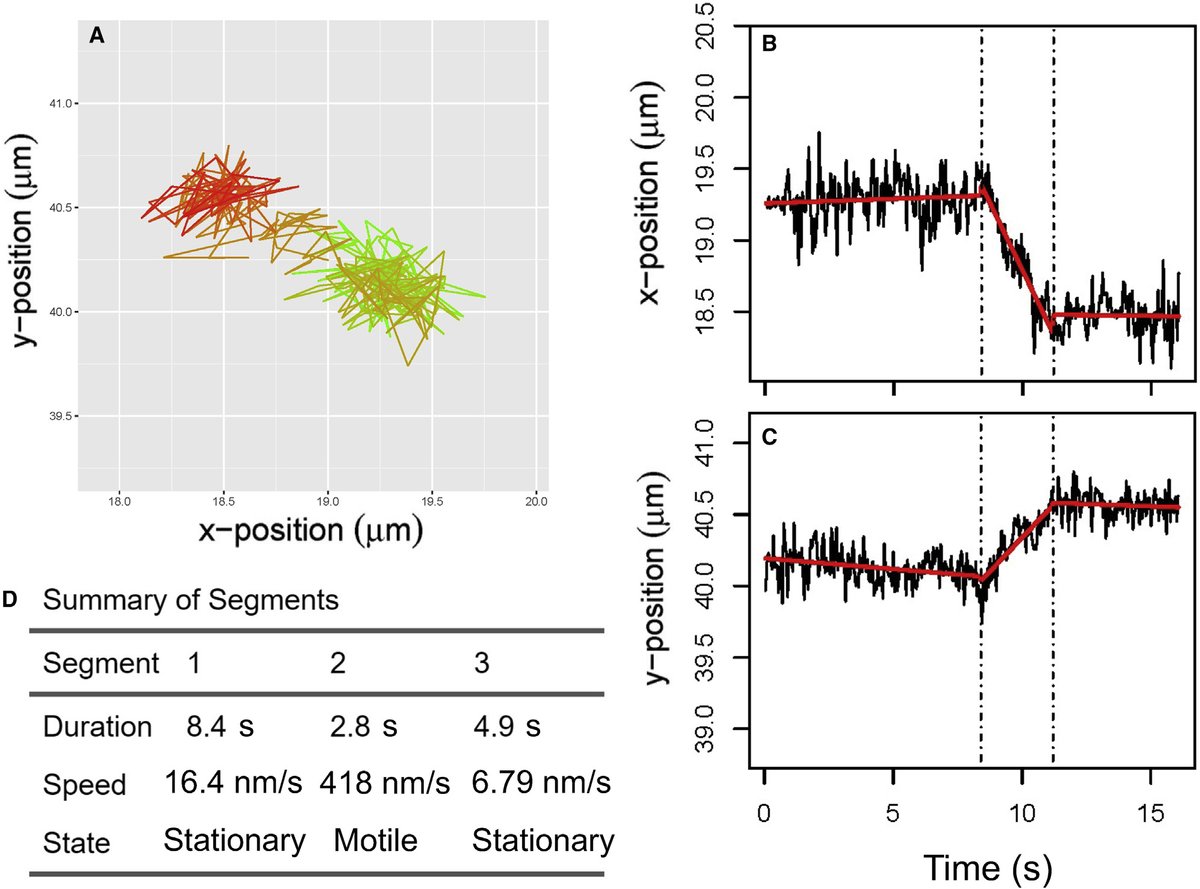 SIAM (@thesiamnews) on Twitter photo Recent modeling advances have inspired #research that relates intracellular processes to the underlying #dynamics of the cell #cytoskeleton. On the SIAM News blog, <a href="/KCookMathLab/">Keisha Cook, Ph.D.</a> discusses single-particle tracking of lysosomes in #cells. Learn more here: siam.org/publications/s… Recent modeling advances have inspired #research that relates intracellular processes to the underlying #dynamics of the cell #cytoskeleton. On the SIAM News blog, <a href="/KCookMathLab/">Keisha Cook, Ph.D.</a> discusses single-particle tracking of lysosomes in #cells. Learn more here: siam.org/publications/s…