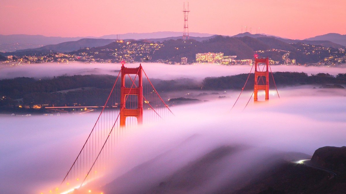 Cody Mayer tweet media