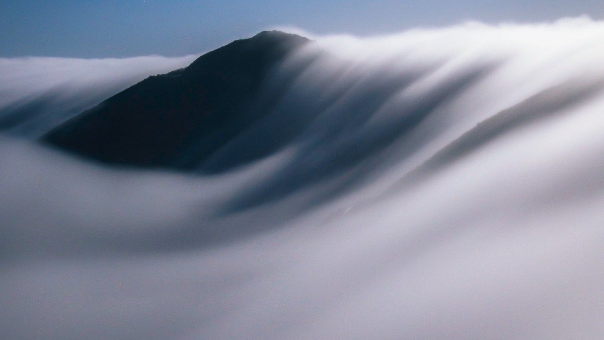 Cody Mayer tweet media