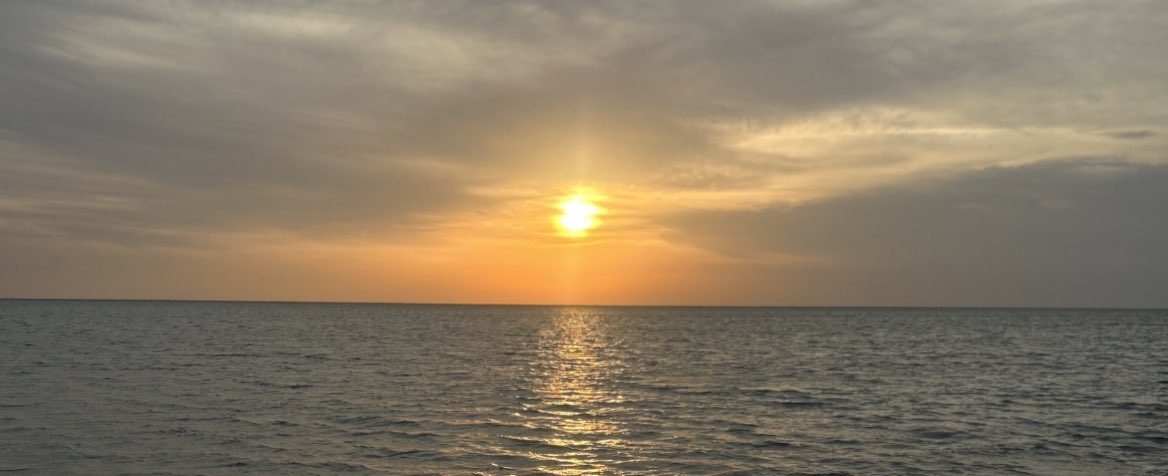 ""أنا البحر في أحشائه الدر كامن
 فَهَل سَأَلُوا الغَوّاصَ عَن صَدَفاتي🌊🐚""