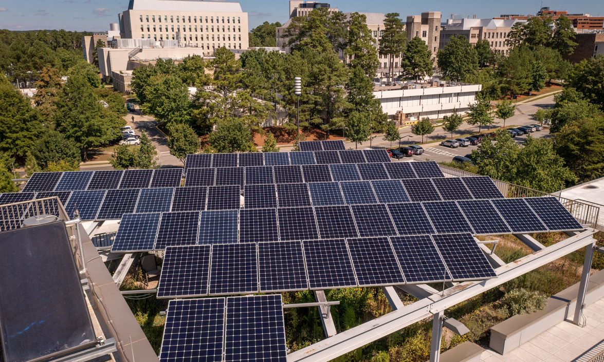 Second Nature tweet media