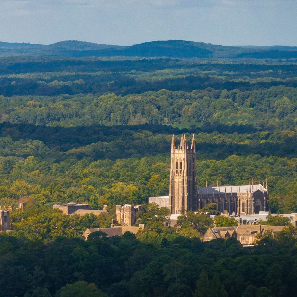 Second Nature tweet media