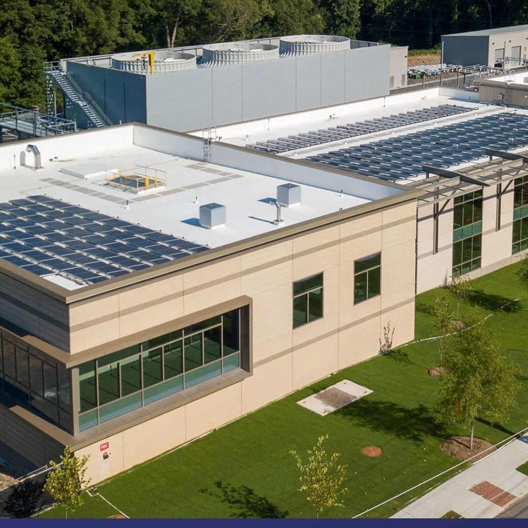 Second Nature tweet media